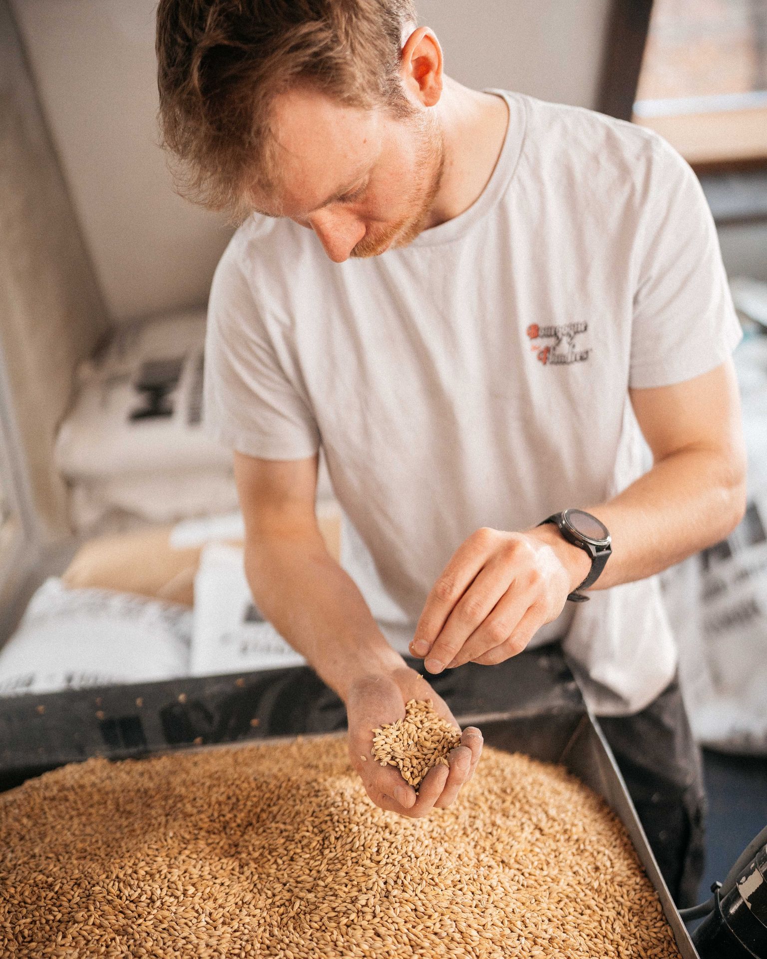 Cervecero trabajando la malta y la cebada en la Cervecería Bourgogne des Flandres